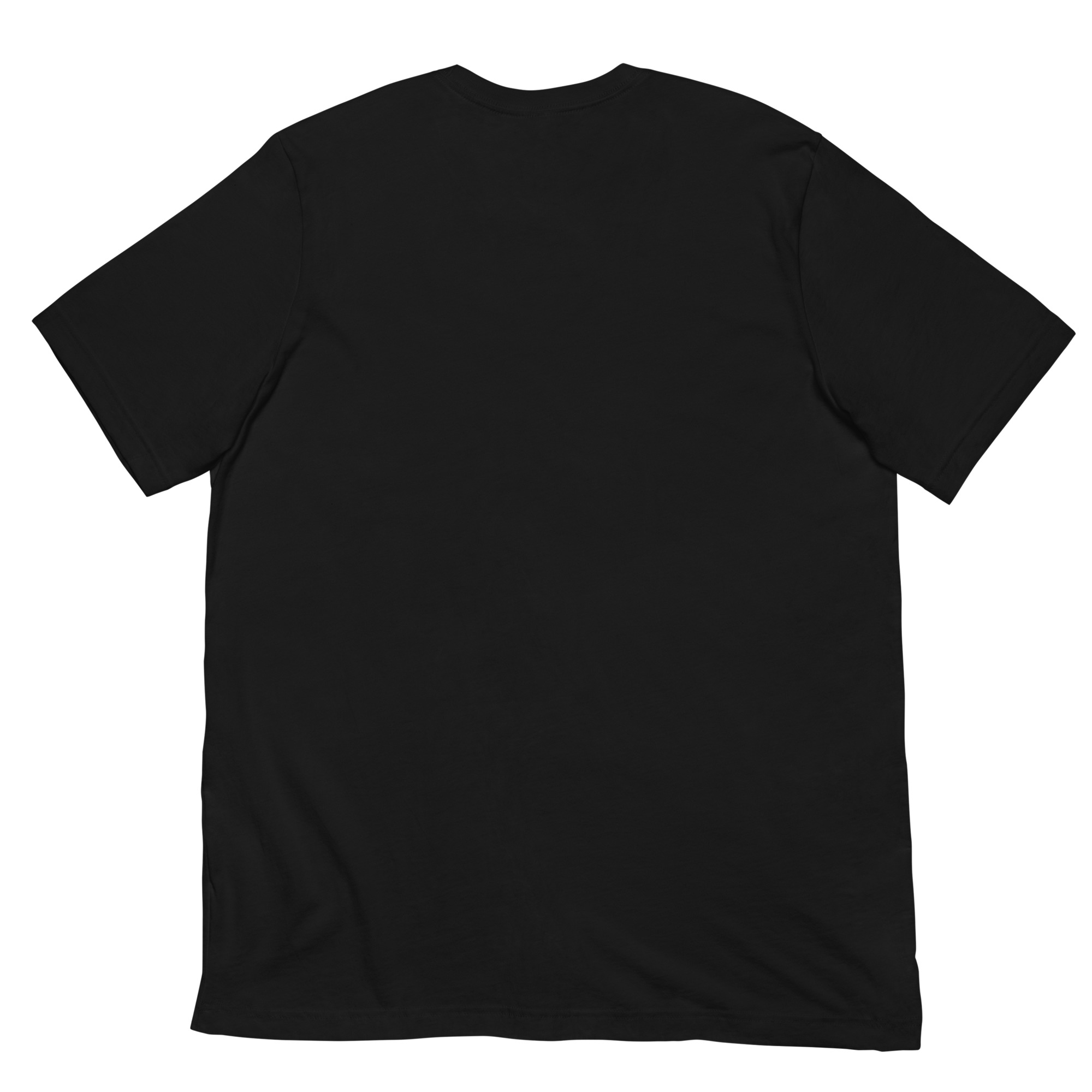 unisex-staple-t-shirt-black-back-68d97b09d2649.jpg