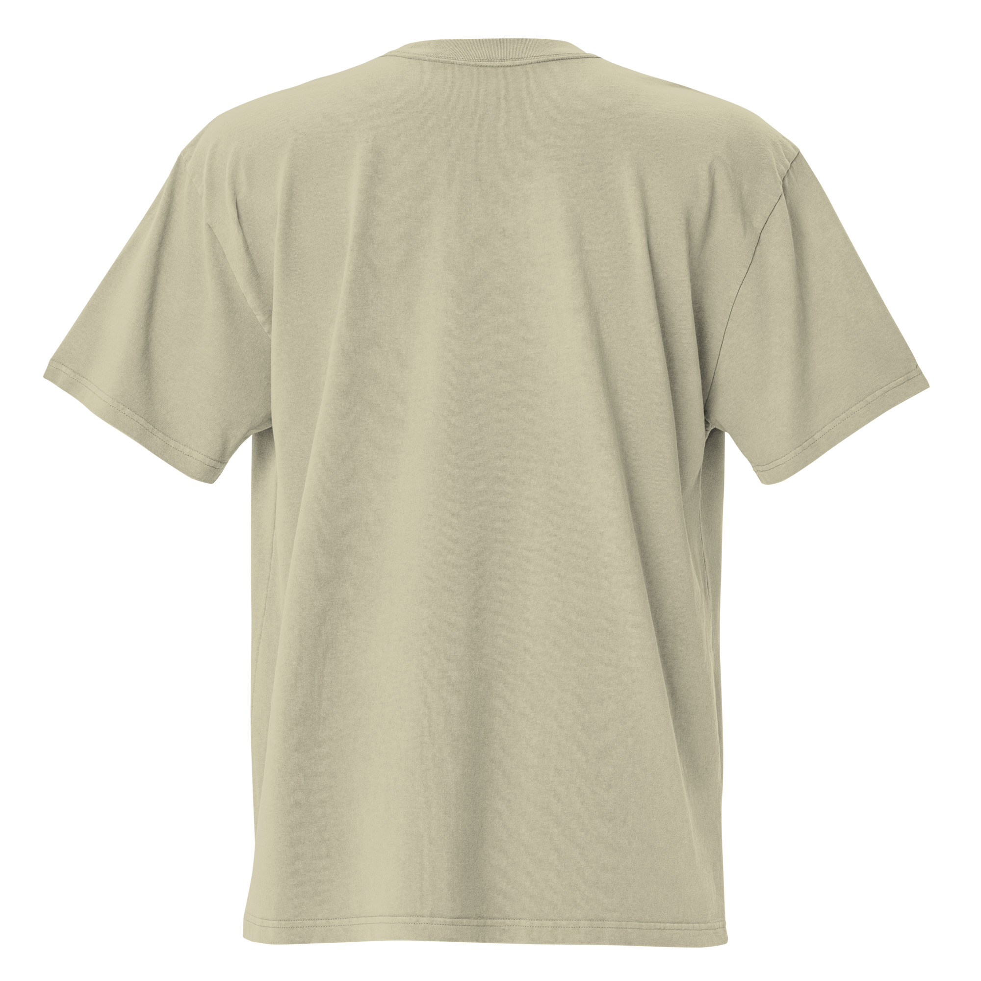 oversized-faded-t-shirt-faded-eucalyptus-back-68e3cecc3f0e6.jpg