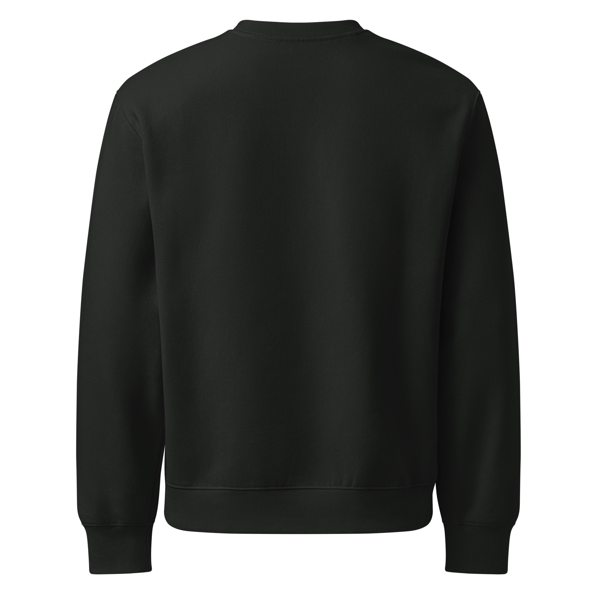 unisex-oversized-heavyweight-sweatshirt-vintage-black-back-68ed508af1151.jpg