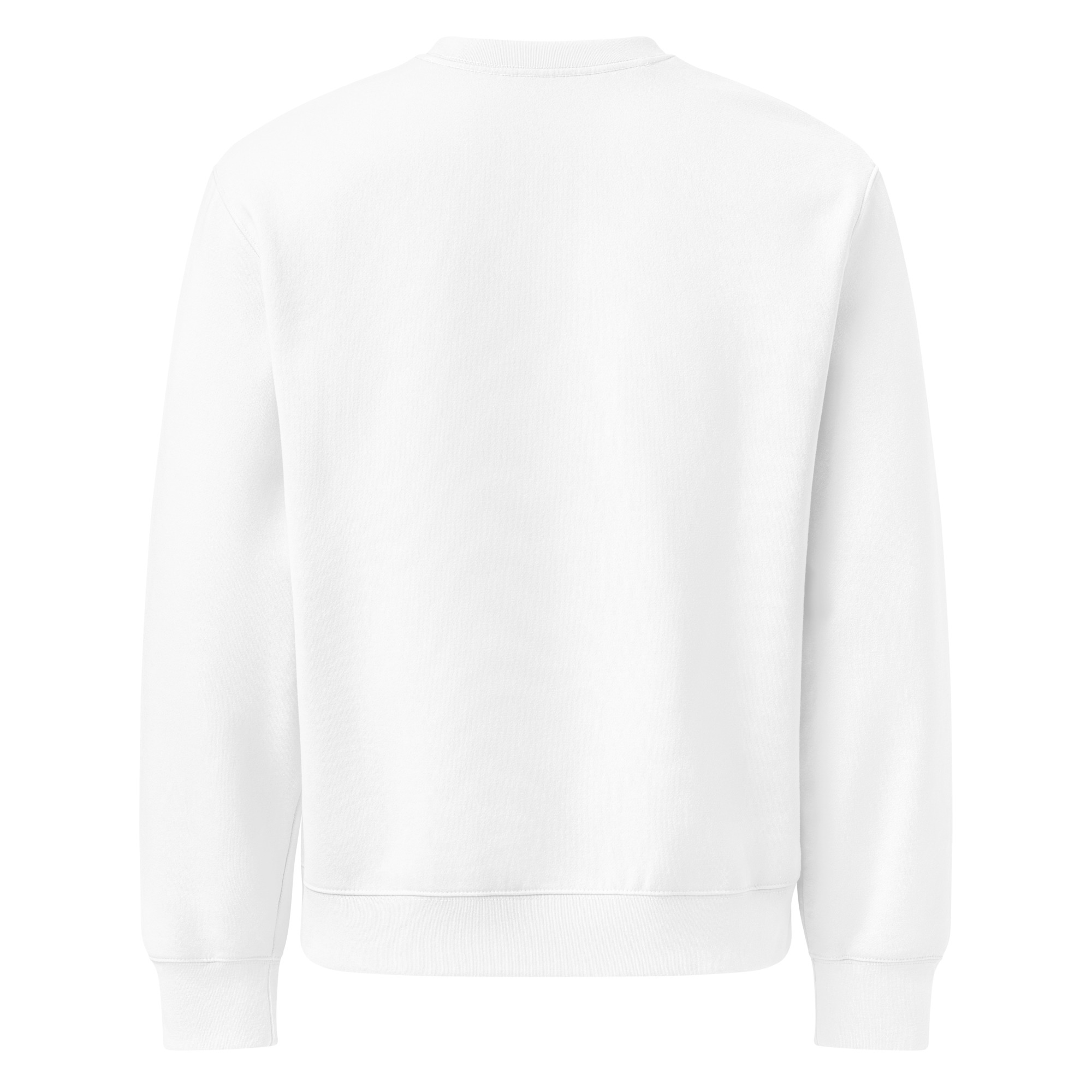 unisex-oversized-heavyweight-sweatshirt-white-back-68ed508b0af0d.jpg