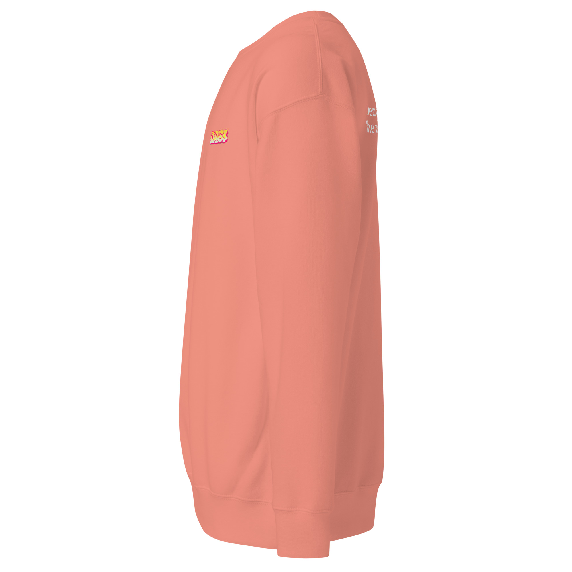unisex-premium-sweatshirt-dusty-rose-left-68e3ce517bc18.jpg